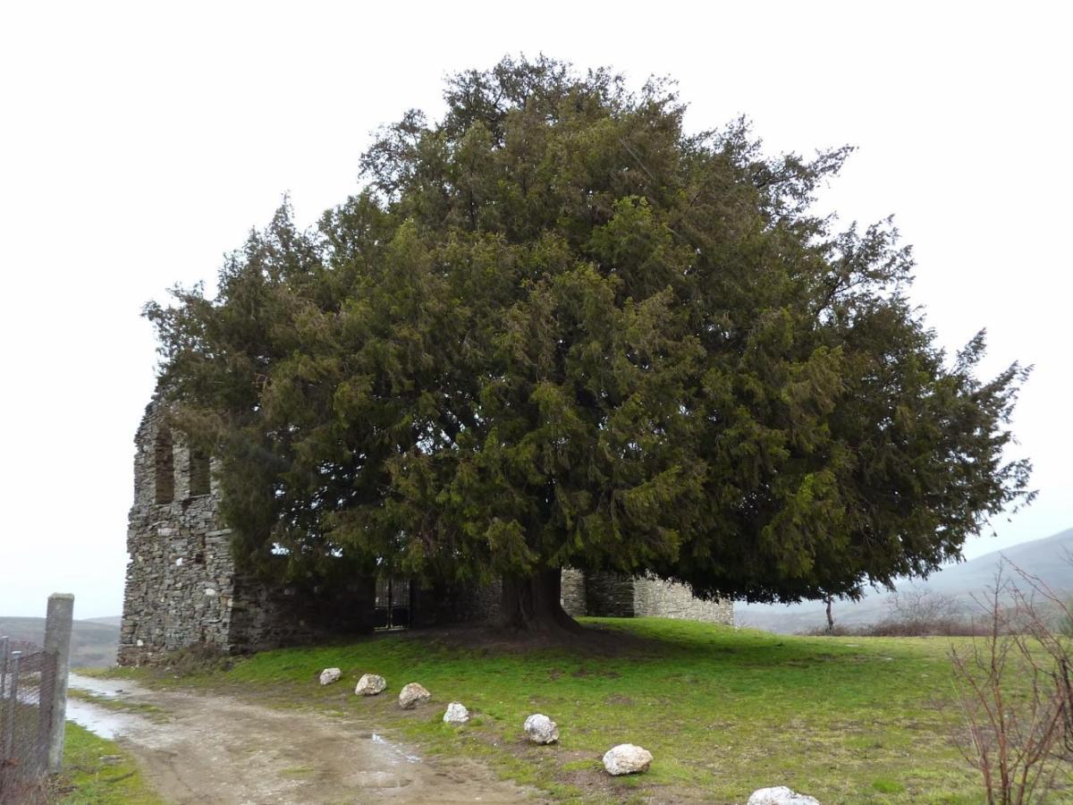 Гостьовий будинок Casa De Abril 1 San Cristobal de Valdueza Номер фото